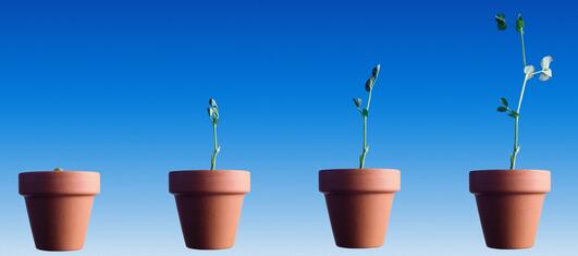 MBA Lead Nurturing