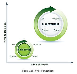 Curricular Life Cycle Comparisons